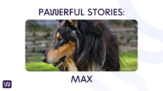 Download lagu PAWerful Stories: MAX mp3 Download lagu PAWerful Stories: MAX mp3