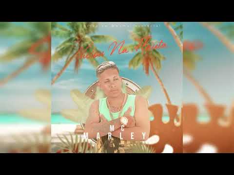 Mc Marley & Mc Mari - Viciou Na Flauta 2020