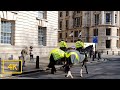 Walking To Westminster Abbey From Horse Guards 4K London Tour 2020
