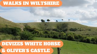 WALKS IN WILTSHIRE at ROUNDWAY HILL (inc THE DEVIZES WHITE HORSE & OLIVER'S CASTLE) (4K)