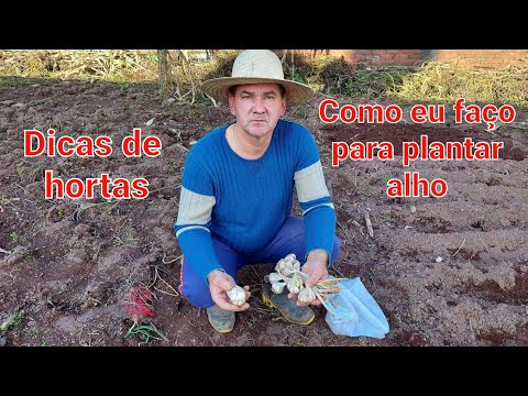 , title : 'Como plantar alho de uma maneira bem simples, neste vídeo vou mostrar como eu faço minha plantação'