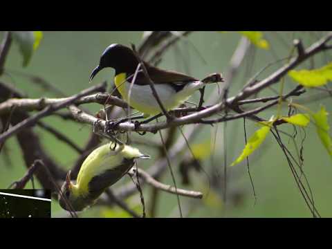 Jaysagar kamble Waynad day1...