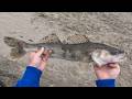 Video Thumbnail for BIG Sauger out of the NSR | West of Lacolle Falls