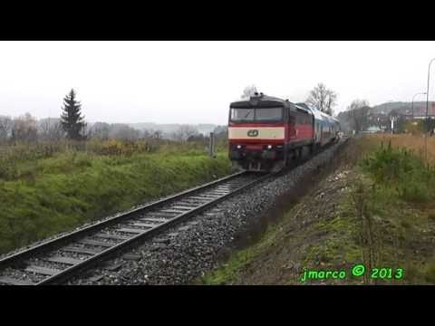 Bardotka 749.121 ČD na pacifiku [2013]