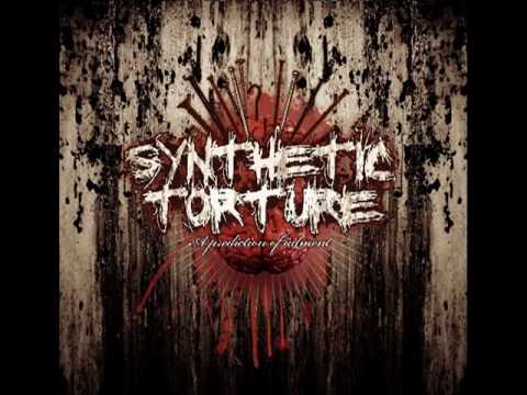 Synthetic Torture - System of Malevolence (listen in HQ!)
