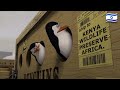 Madagascar Ship To Kenya Hebrew