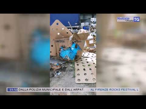 2018-06-15 NOTIZIE DI PRATO TG ORE 19.45