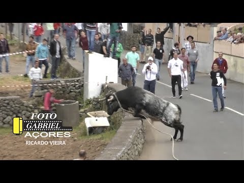 AS Melhores Touradas 2018 ( Parte 5 ) Ilha Terceira AÇORES