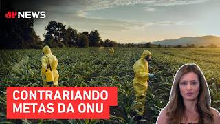 Miniatura do vídeo