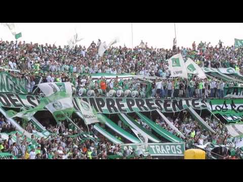 "Atletico Nacional 3 vs alianza petrolera 1 - 2016 Canticos LOS DEL SUR [HD]" Barra: Los del Sur • Club: Atlético Nacional