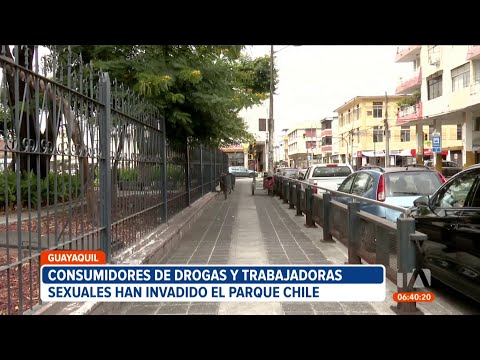 Trabajadoras sexuales y consumidores de droga atemorizan a comerciantes del Parque Chile