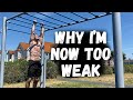 Going Back To Basics Beginners To Monkey Bars Training Techniques