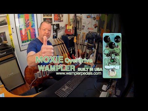 Wampler Moxie 2022 - Present - Green image 8
