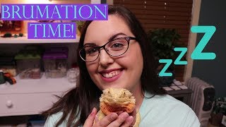 Preparing My Bearded Dragon For Brumation | Enclosure Cleaning