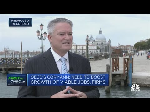 Like virus, 'emissions don't stop at borders,' says OECD's Cormann ahead of G-20