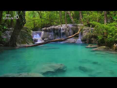 RAMAZANSKA DOVA 3. DAN - MTV IGMAN