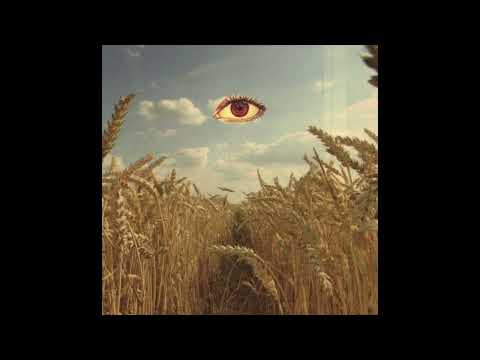 Flying Lotus x Pink Siifu x MF DOOM Type Beat - "Sunnyside"