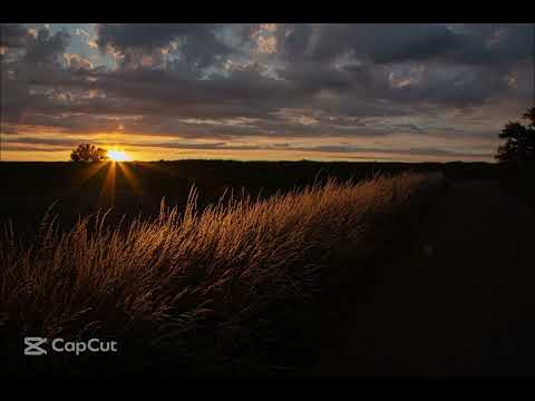 Warmer Sommerabend unter freiem Himmel mit Naturgeräusche von Grillen