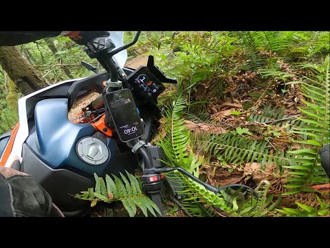 KTM 890 Adventure R 2023 goes on Single Track to play with Dirt bikes and crash.
