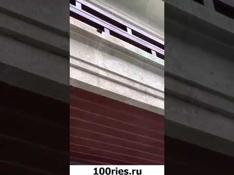 Дарья Клюкина Инстаграм Сторис 09 июня 2019