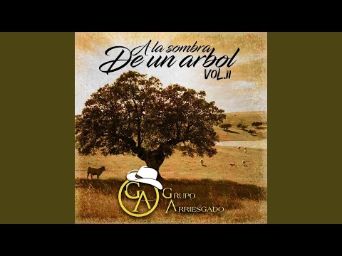 La Linea Directa (En Vivo)