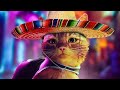 Stray Mexican Cat