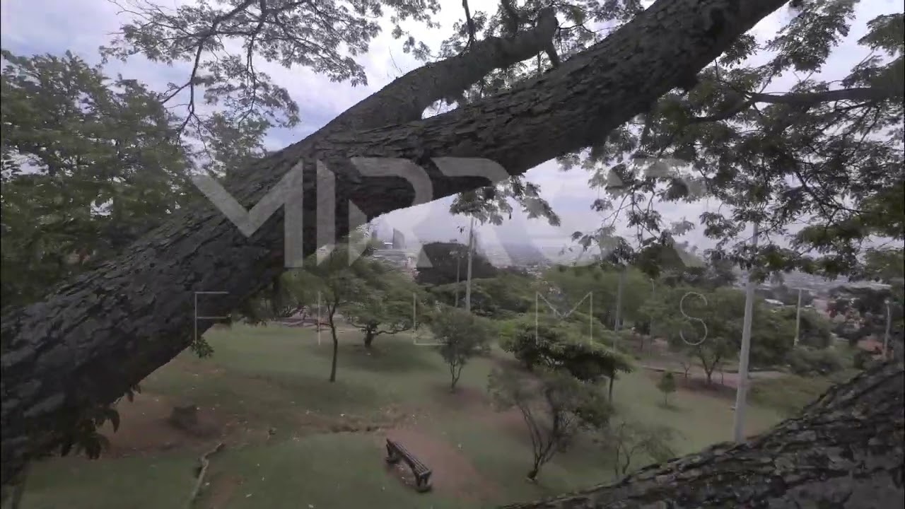 Barrio San Antonio en Cali P1