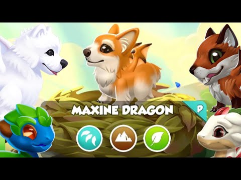 PRIMAL CORGI DOG UNLOCKING & HATCHING! New PET INFLUENCER Treasure Hunt Event Guide! - #DML #1748