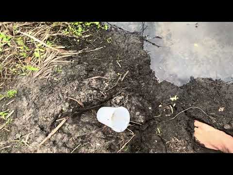 No its not Pee! then what is it?