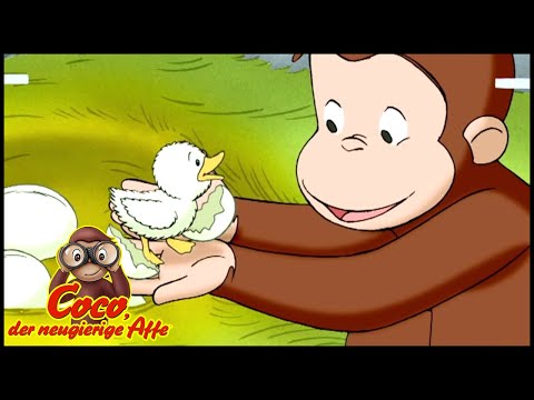 Coco der Neugierige Affe 🐵Eine ungewöhnliche Enten 🐵Ganze Folgen Staffel 5 🐵Cartoons für Kinder