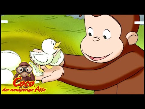 , title : 'Coco der Neugierige Affe 🐵Eine ungewöhnliche Enten 🐵Ganze Folgen Staffel 5 🐵Cartoons für Kinder'