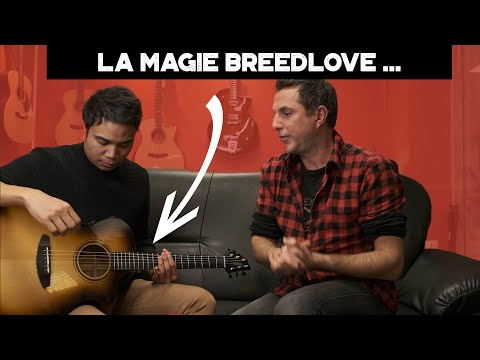 Breedlove Artista Pro Concert Ce - Vidéo