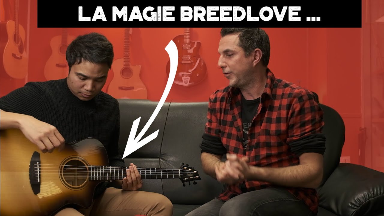 Breedlove Artista Pro Concert Ce