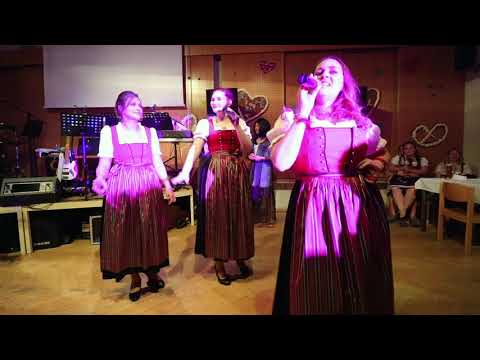 Ausschnitt aus dem Musikerball 2018 - Des passt mir so