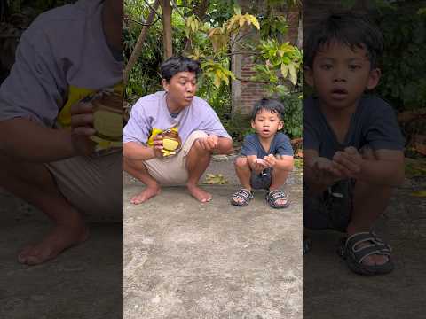 di kira burung hantu ternyata coklat