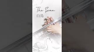 Download lagu 【トランペットでクラシック】白鳥 / サン=サーンス mp3 Download lagu 【トランペットでクラシック】白鳥 / サン=サーンス mp3