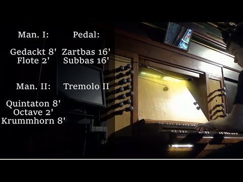 Prezentacja organów kościoła św. Wojciecha w Poznaniu - Tour of Stops XIII