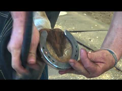 Slide 2 - Kerckhaert Sliding Pride 1” EU 13 Unclipped  (video)