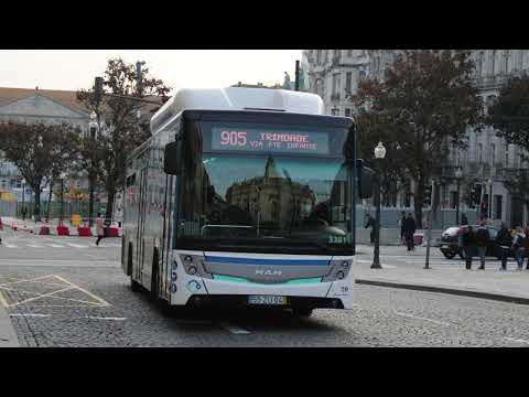 STCP 3381 (audio recording - collab)