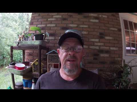 Streamlight PolyStinger LED review! Plus an interesting story about it.