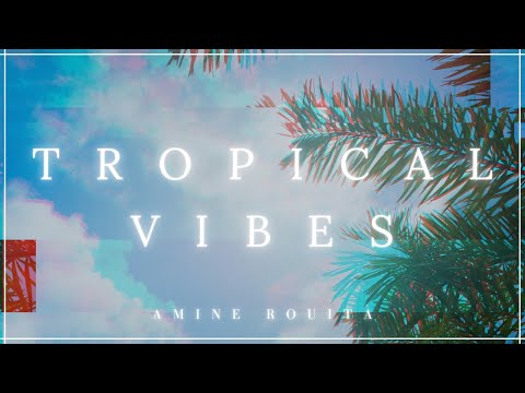 Amine Rouita - Tropical Vibes