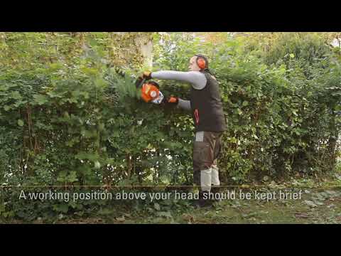 Petrol hedge trimmer cutting technique with a Stihl Hedge Trimmer