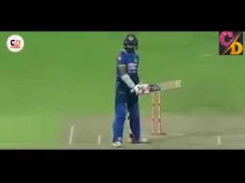 #bumrah is the best bowler 10 wicked #Indian bowler #Yorker