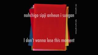 ELO - ROSE [Romanization + Eng Lyrics]