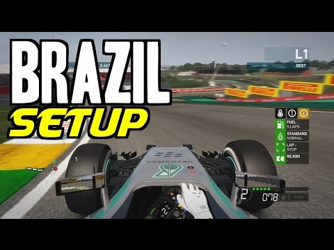 F1 2014 Brazil Hotlap + Setup