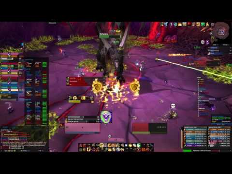 Mythic Nythendra Prot Paladin PoV