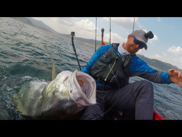 INSANE Battle with MONSTER Fish in a Kayak! | Field Trips Panama