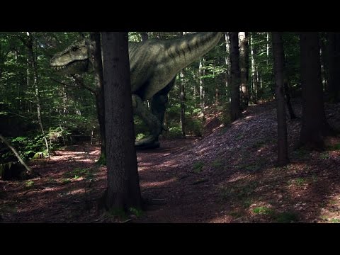 CGI/VFX Showreel 2016 by Ygor M. Betine