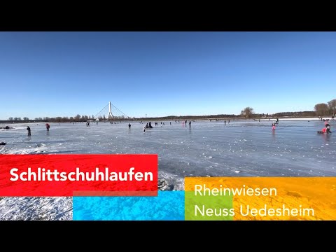 Schlittschuhlaufen Rheinwiesen Neuss Uedesheim