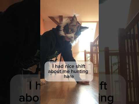 Shifts are dangerous⚠️#shift #therian